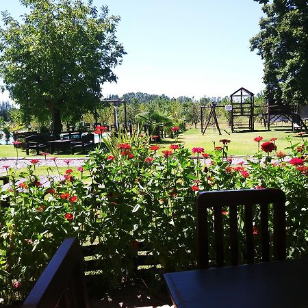 Finca Los Almendros Hotel Tunuyán Kültér fotó