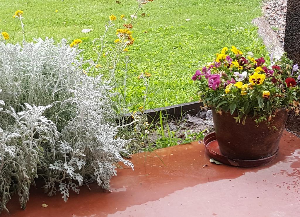 Finca Los Almendros Hotel Tunuyán Kültér fotó