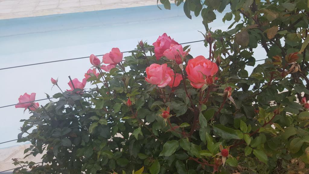 Finca Los Almendros Hotel Tunuyán Kültér fotó