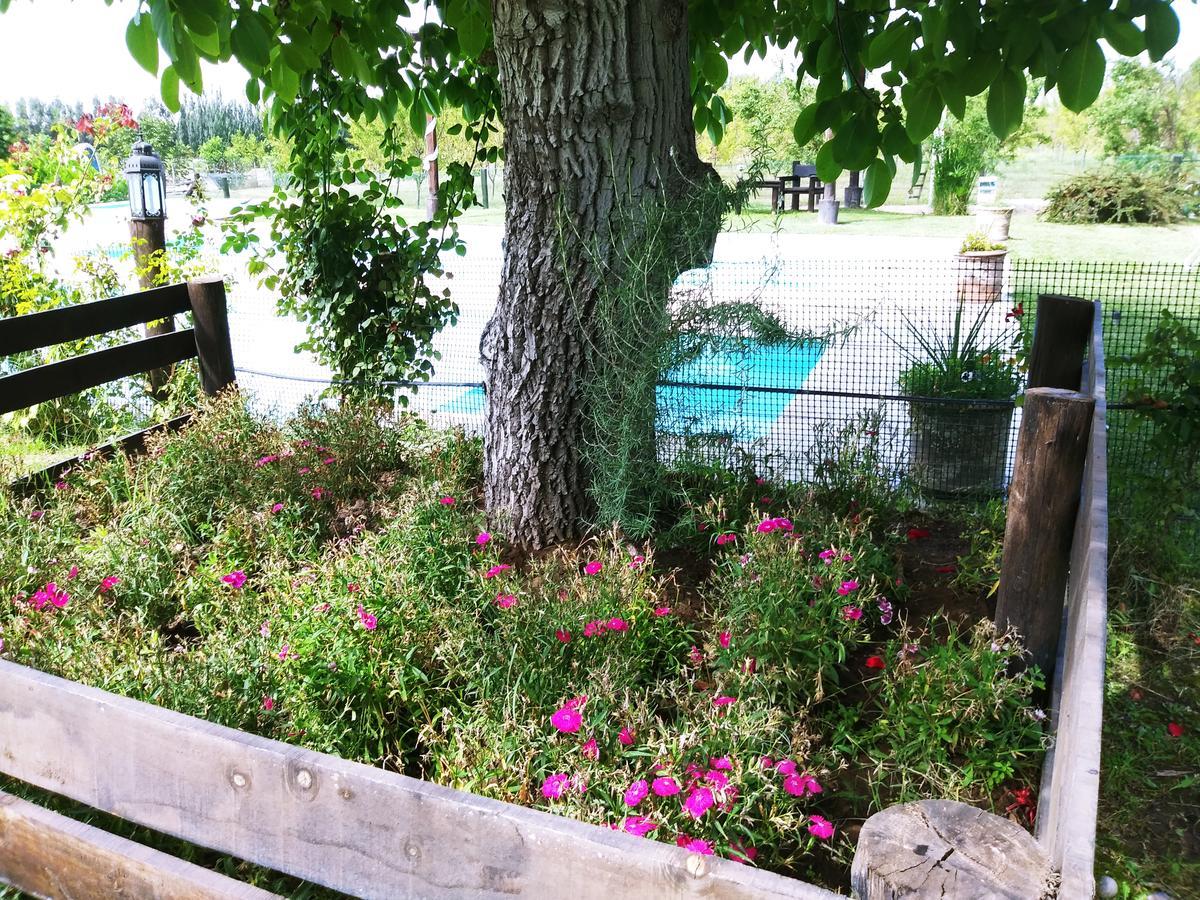 Finca Los Almendros Hotel Tunuyán Kültér fotó