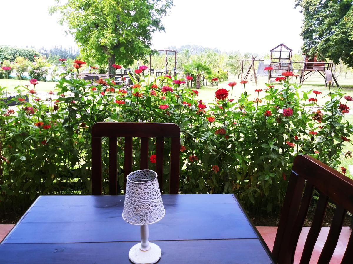 Finca Los Almendros Hotel Tunuyán Kültér fotó